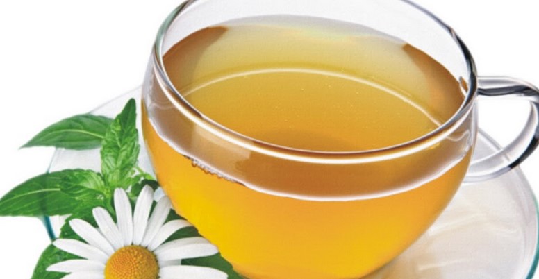 Is chamomile a natural antibiotic?