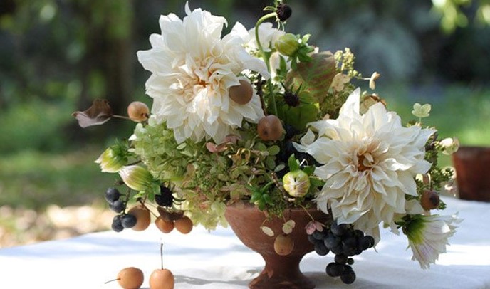 The Dahlia Flower - The Centerpiece of a Flower Bouquet